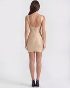 Beyoncé Mini Dress